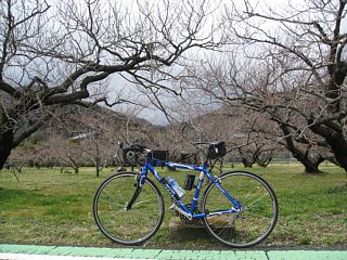 photo-20120311-4