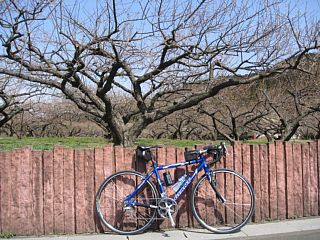 photo-20120320-13