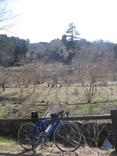 photo-20120320-15