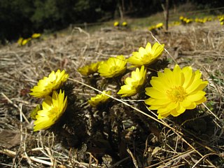 photo-20120320-16