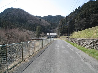 photo-20120320-2