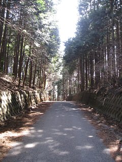 photo-20120320-5