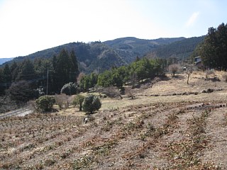 photo-20120320-6