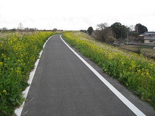 photo-20120325-1