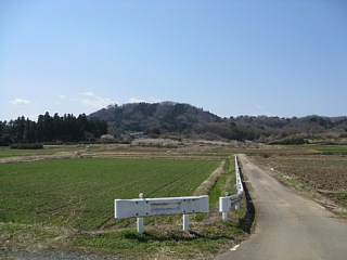 photo-20120401-1