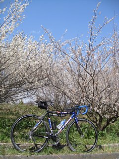 photo-20120401-3