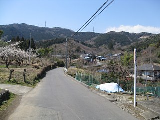 photo-20120401-7
