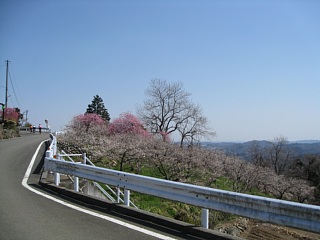 photo-20120401-9