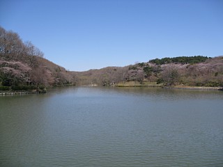 photo-20120408-1