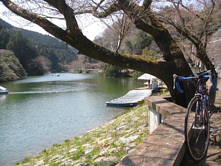 photo-20120408-10