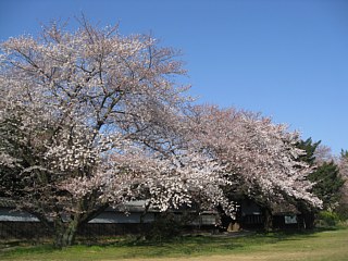 photo-20120408-12