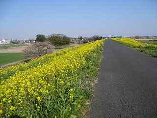 photo-20120408-15