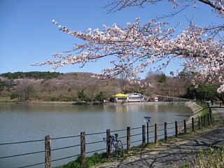 photo-20120408-2