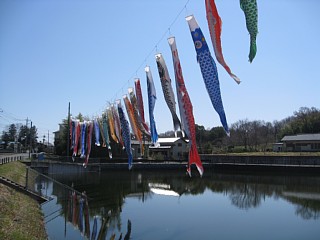 photo-20120408-3