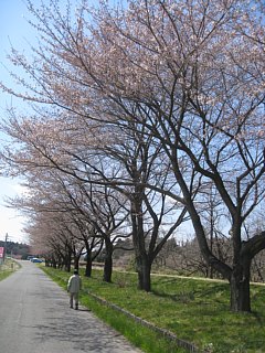 photo-20120408-5