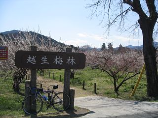 photo-20120408-6