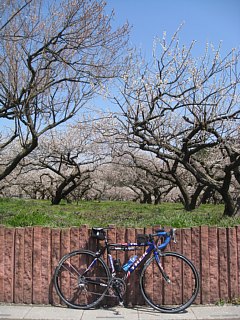 photo-20120408-8