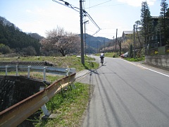 photo-20120408-9