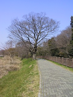photo-20120410-1