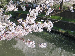 photo-20120410-2