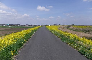 photo-20120415-1