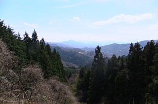photo-20120415-11