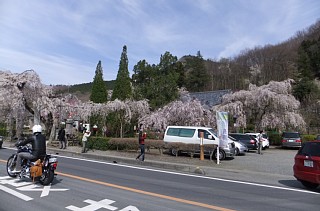 photo-20120415-16