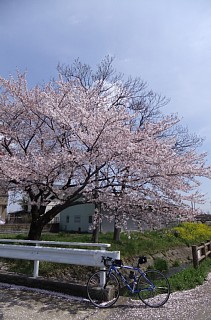 photo-20120415-3