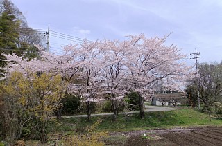 photo-20120415-4