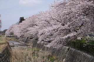 photo-20120415-6