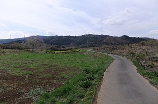 photo-20120415-7