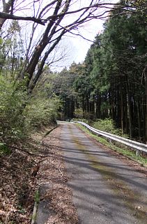 photo-20120415-8