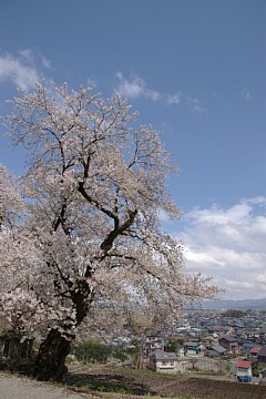 photo-20120422-1