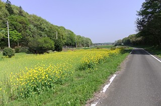 photo-20120428-15