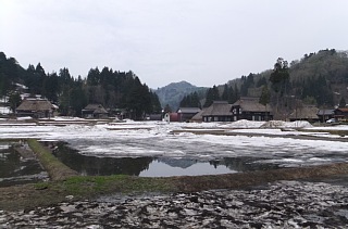 photo-20120430-3