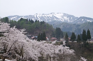 photo-20120430-4