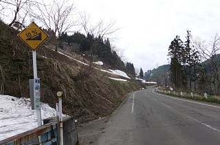 photo-20120430-5