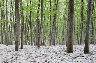 photo-20120430-7