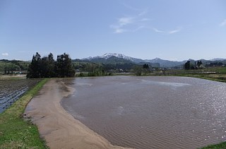 photo-20120501-1