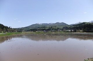 photo-20120501-2