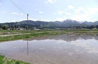 photo-20120501-3