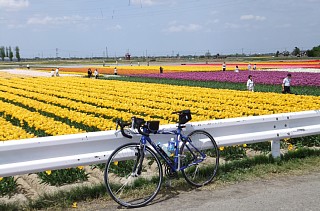 photo-20120501-5