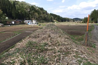 photo-20120501-7