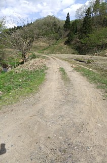 photo-20120501-8