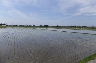 photo-20120513-6