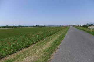 photo-20120519-1