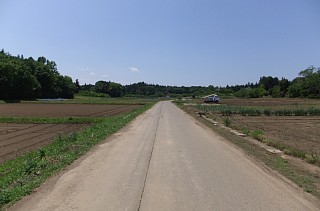photo-20120519-2