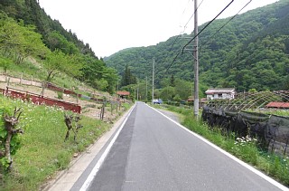 photo-20120520-11