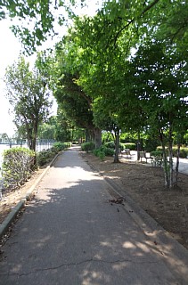 photo-20120527-2