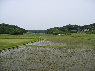 photo-20120602-1
